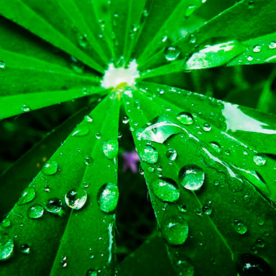 网络ddos监测分析工具