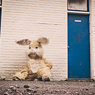 ddos攻击在哪能买到